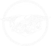 Special Boat Team 20 banner logo