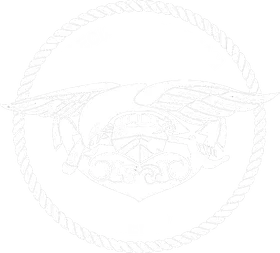 Special Boat Team 20 banner logo