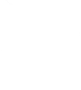 Collegiate Conference of the South banner logo