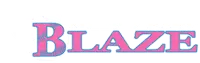 Metro East Blaze Softball banner logo