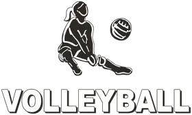 H2 Volleyball banner logo