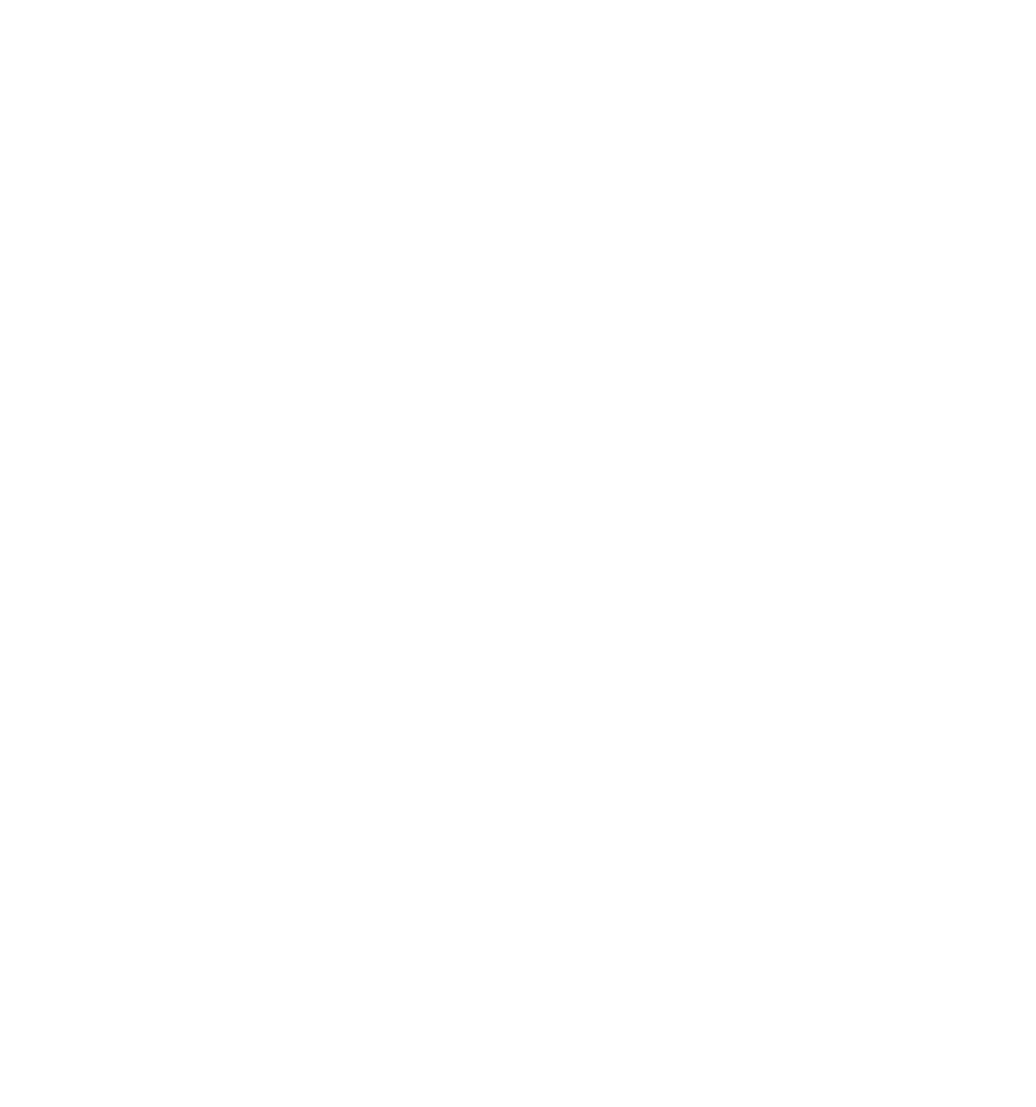 Special Boat Team 22