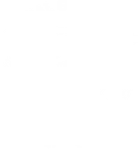 Special Boat Team 22 banner logo