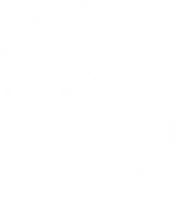 Special Boat Team 22 banner logo