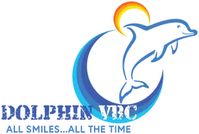 Dolphin Volleyball Club banner logo