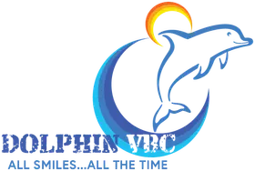 Dolphin Volleyball Club banner logo