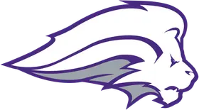 Nelson University banner logo