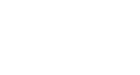 Nelson University banner logo