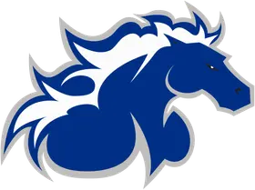 North American University banner logo