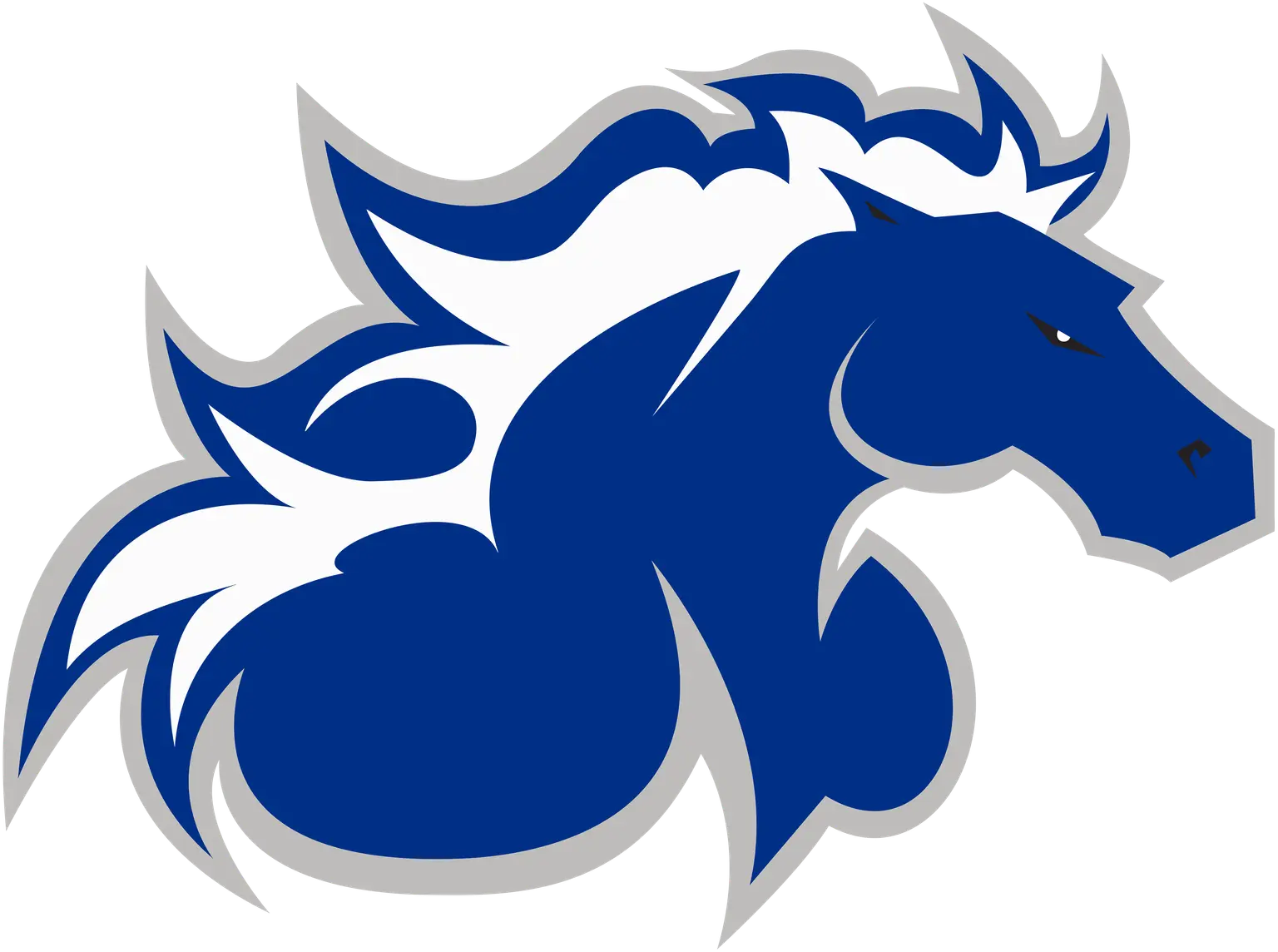North American University