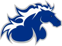 North American University banner logo