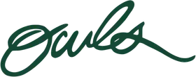 William Woods University banner logo