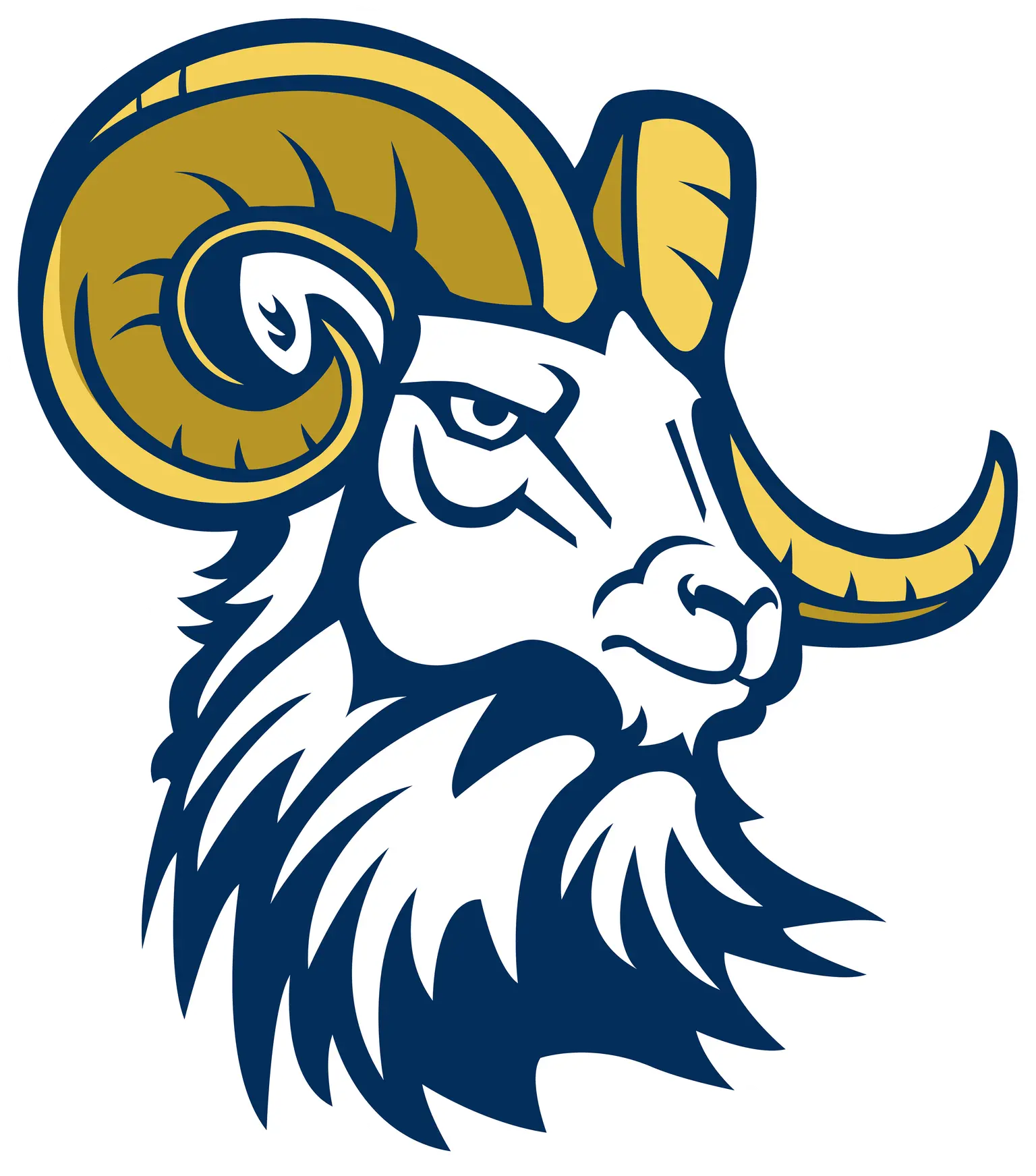 Columbia International University