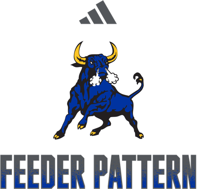 FEEDER PATTERN