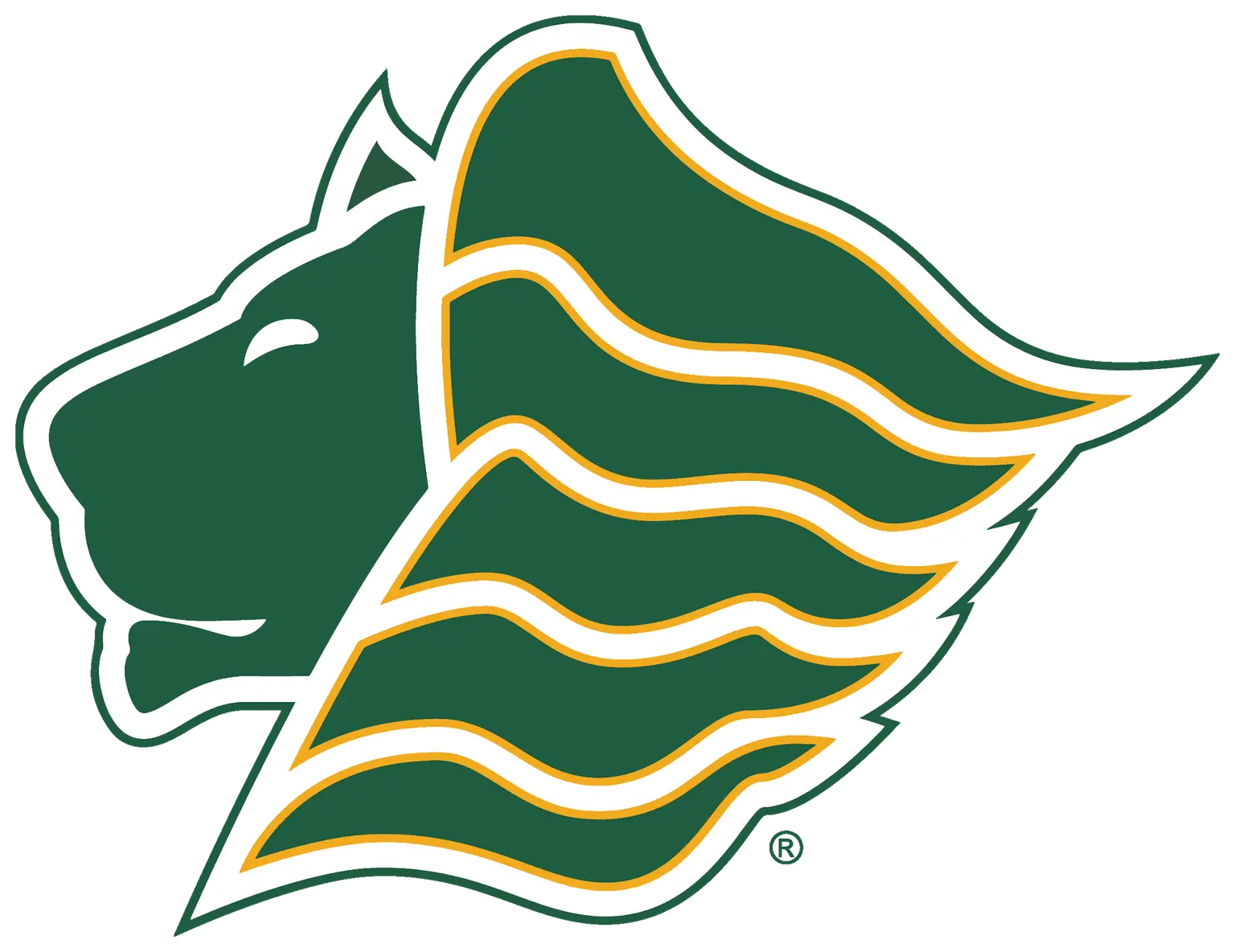 WOMEN'S FLAG FOOTBALL